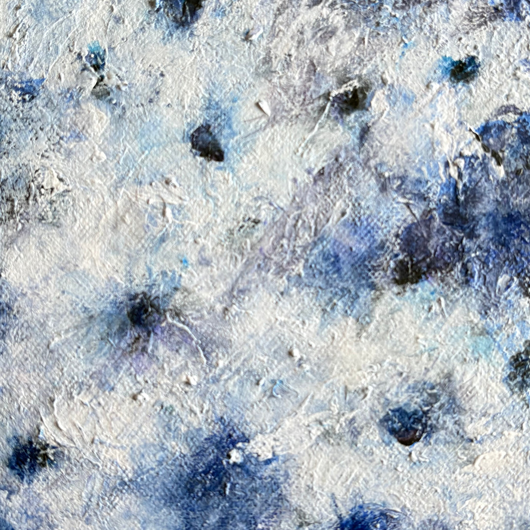 静謐の葵 — Anemone in Stillness