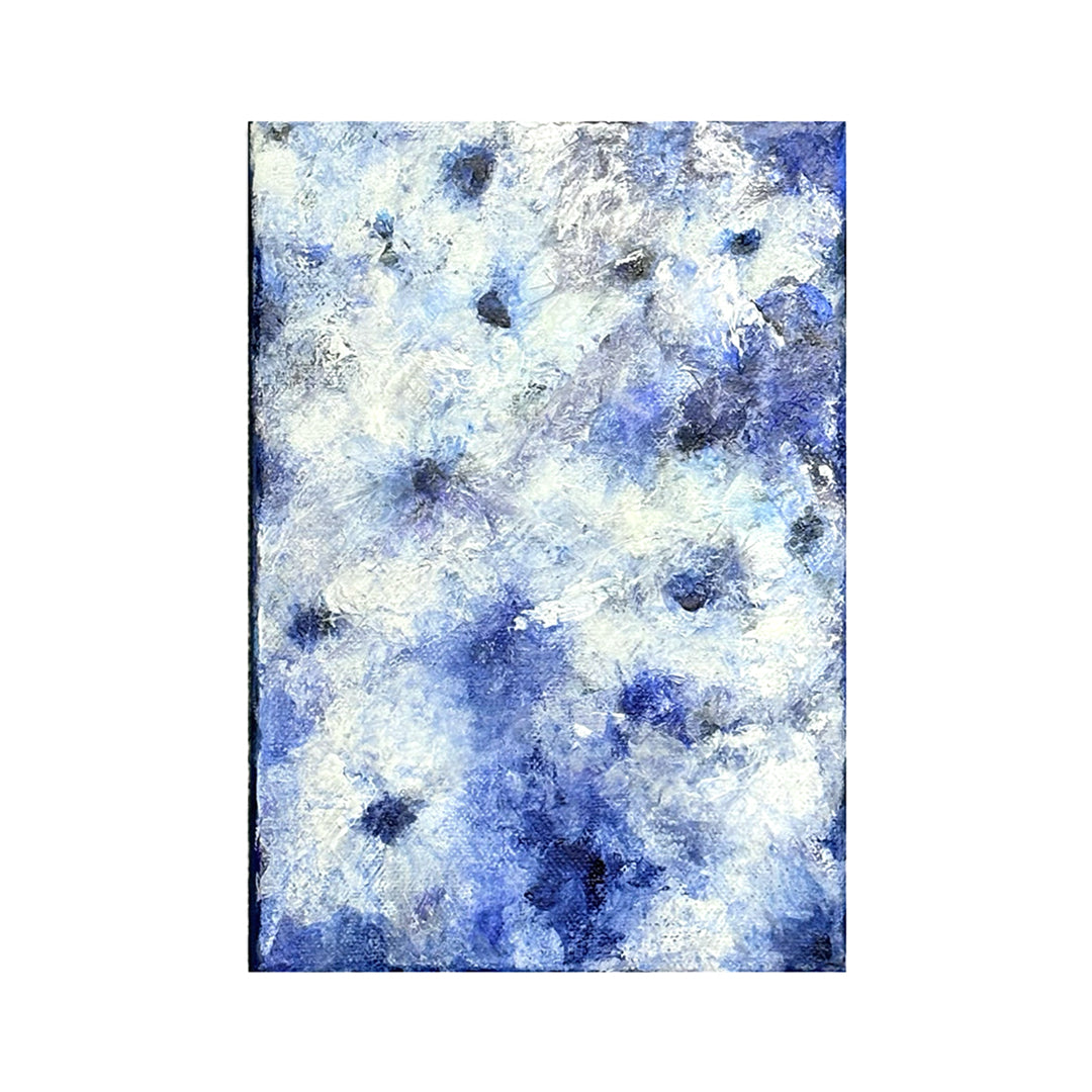 静謐の葵 — Anemone in Stillness